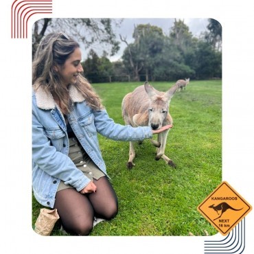 Intercâmbio Estudar na Austrália em Porto Seguro